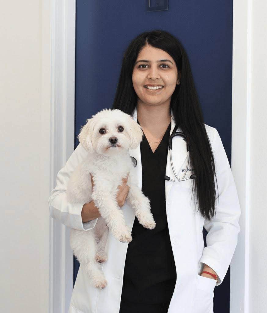 Dr. Jyoti Dhankhar - Co-Founder and Veterinarian at OC Vet Animal Hospital Laguna Woods